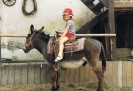 Rebecca Hopp