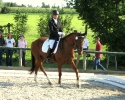 reitschueler und berittpferde