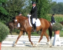 reitschueler und berittpferde